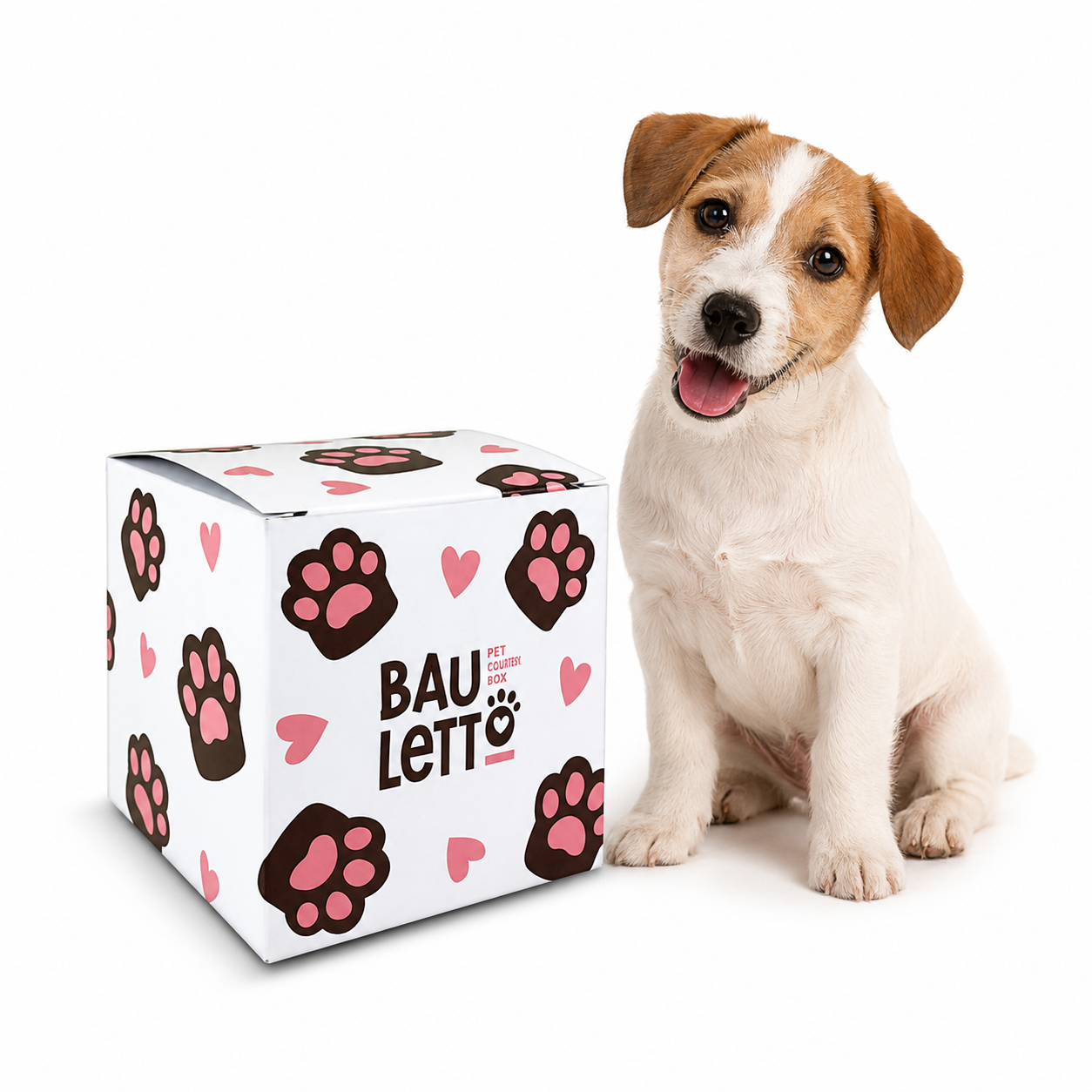 Kit d'Accueil Pet Friendly Basic