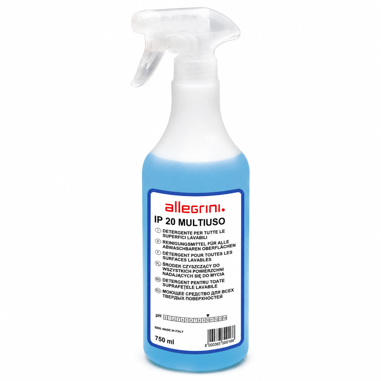 Detergente Professionale Multiuso Pronto all’Uso 750 ml